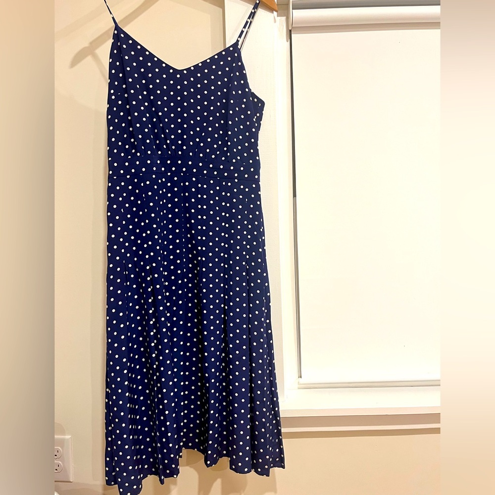 JCrew navy polka dot dress